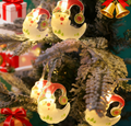 Colorful Christmas Hat Moon - Christmas Light LED String