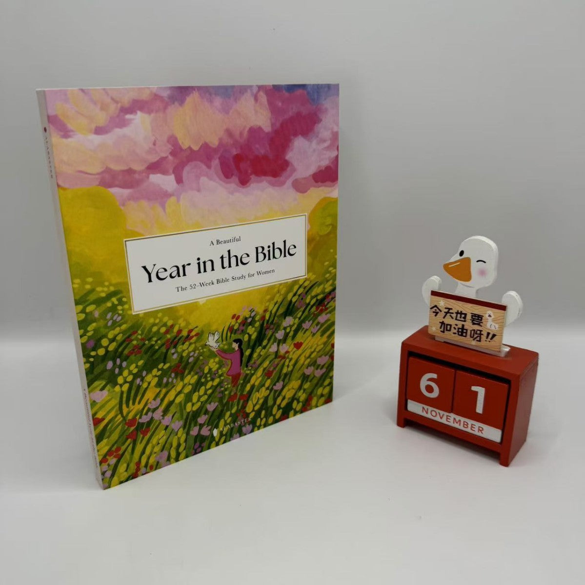 Year in The Bible: A 52 Week Bible Study for Women Women Bible Study Guide with Suggested Readings English Book
