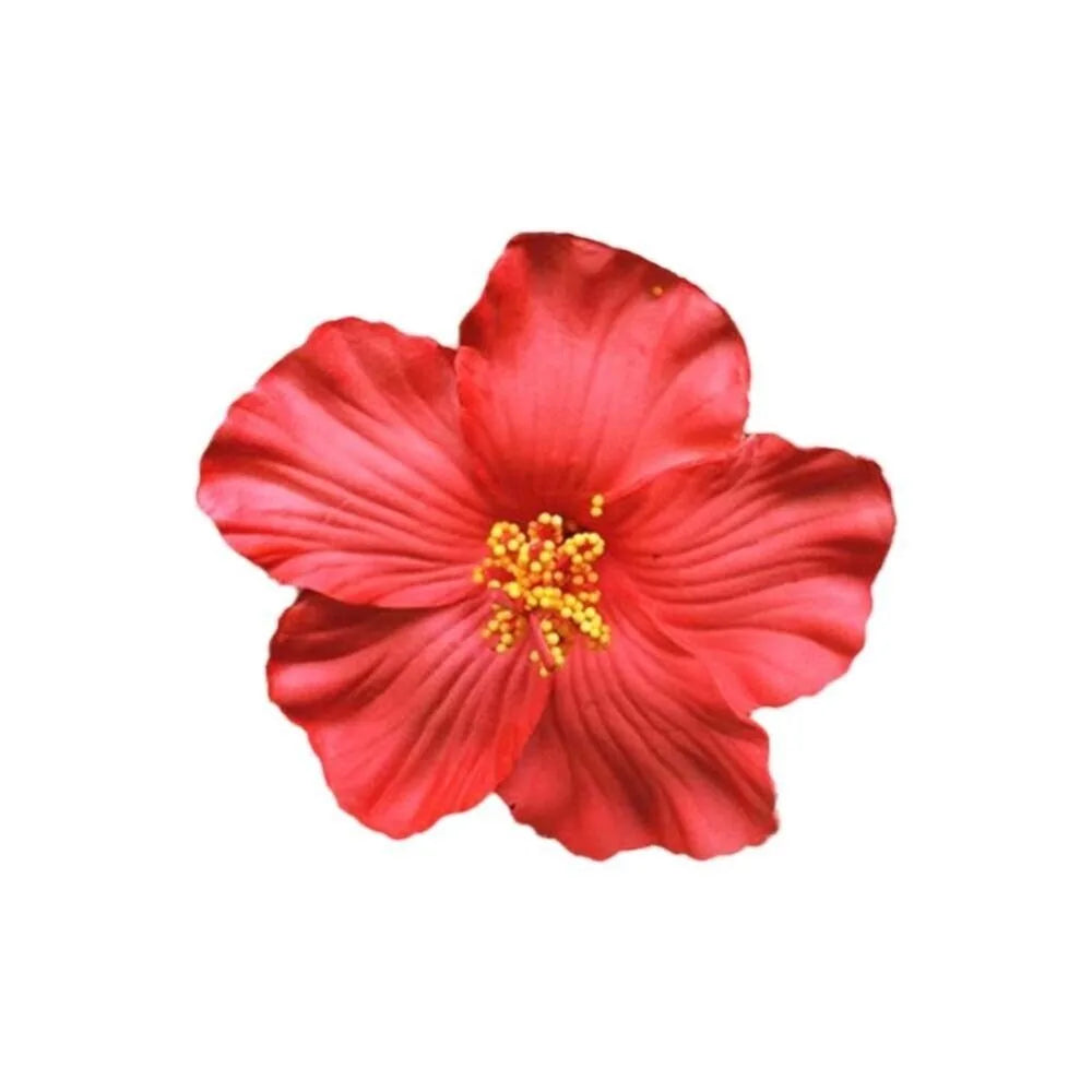 White Flower Hair Clip Beach Seaside White Plumeria Hairpin Travel Holidays Bridal Headdress Hair Accessories for Women Girl
