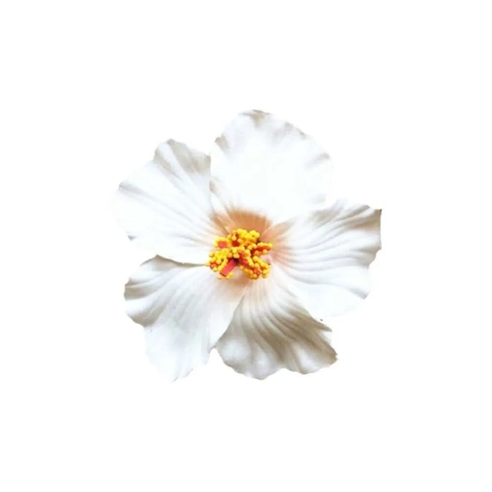White Flower Hair Clip Beach Seaside White Plumeria Hairpin Travel Holidays Bridal Headdress Hair Accessories for Women Girl