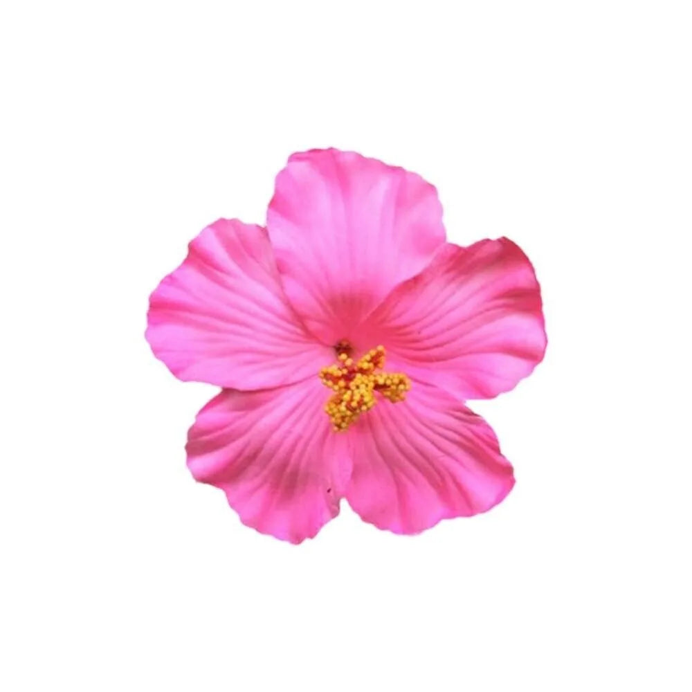 White Flower Hair Clip Beach Seaside White Plumeria Hairpin Travel Holidays Bridal Headdress Hair Accessories for Women Girl