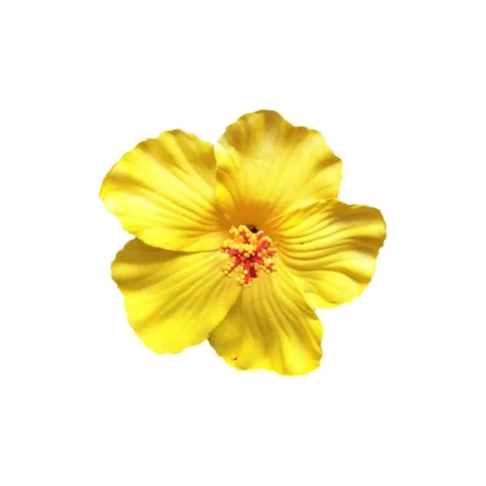 White Flower Hair Clip Beach Seaside White Plumeria Hairpin Travel Holidays Bridal Headdress Hair Accessories for Women Girl